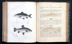 Image Hosting by Vendio