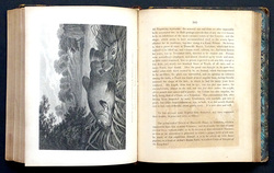 Image Hosting by Vendio