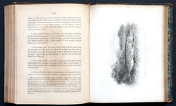 Image Hosting by Vendio