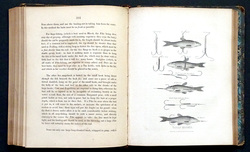 Image Hosting by Vendio