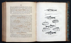 Image Hosting by Vendio