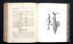 Image Hosting by Vendio