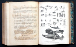 Image Hosting by Vendio