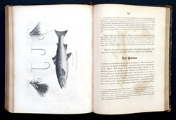 Image Hosting by Vendio