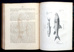 Image Hosting by Vendio