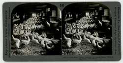 Image Hosting by Vendio