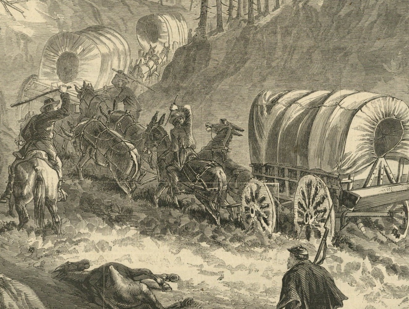 Image Hosting by Vendio