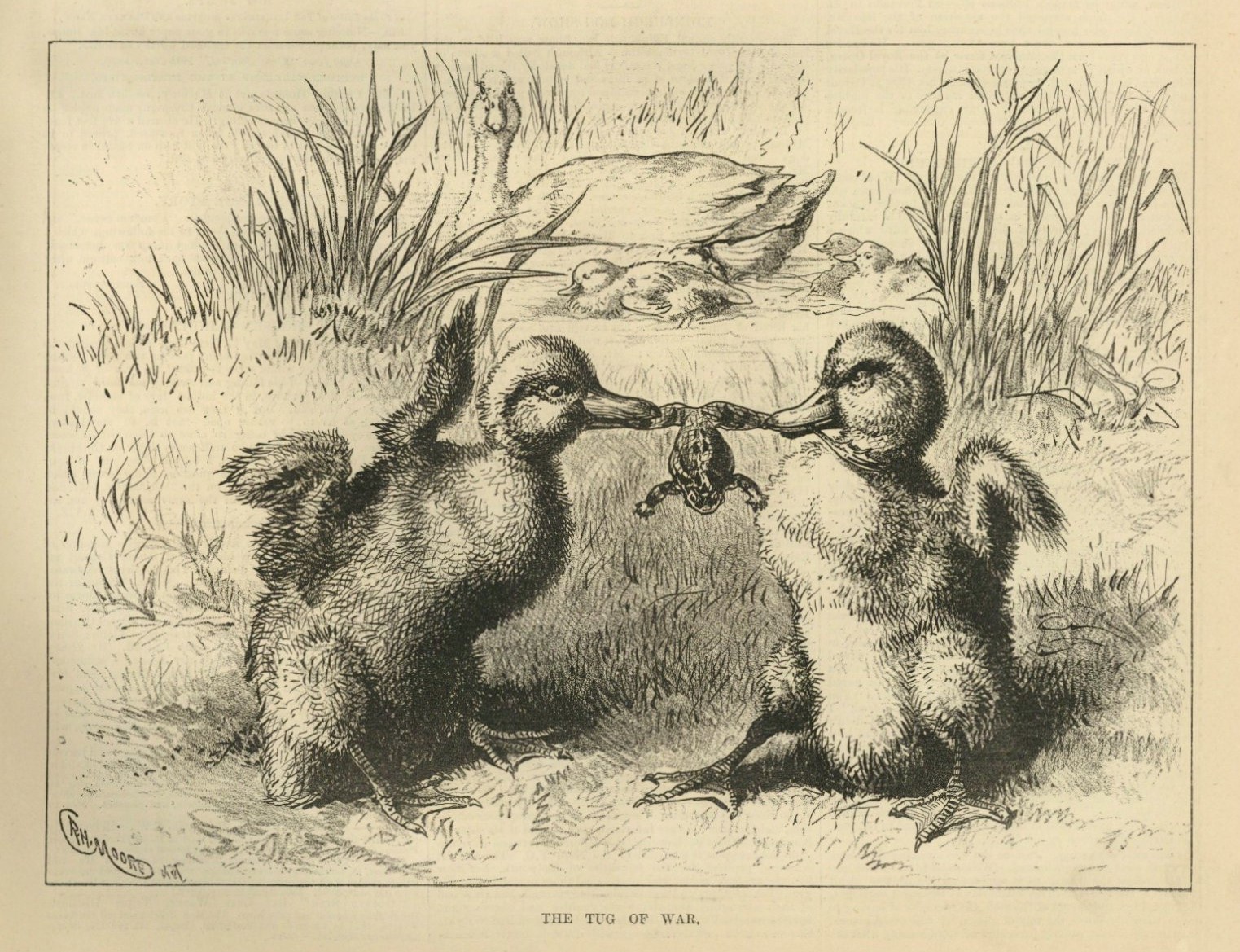 Image Hosting by Vendio