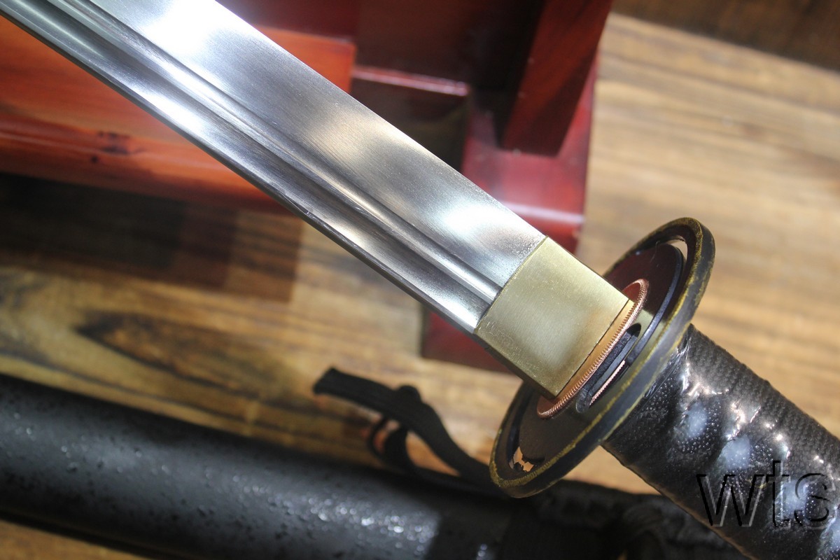 Image Display Failed