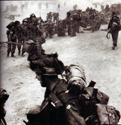 Image Hosting by Vendio