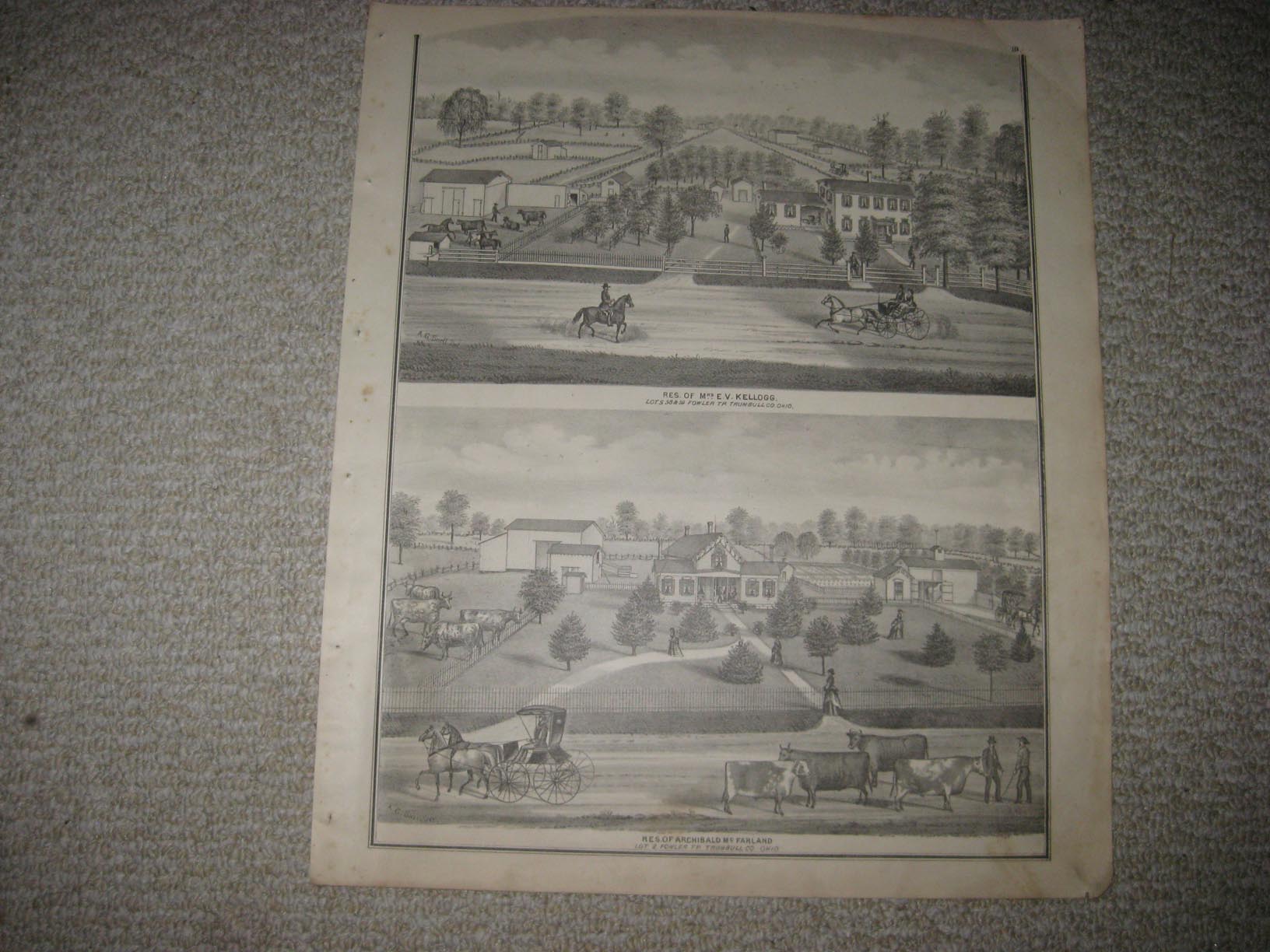 ANTIQUE 1874 FOWLER TOWNSHIP TRUMBULL COUNTY OHIO HANDCOLOR MAP LITHO