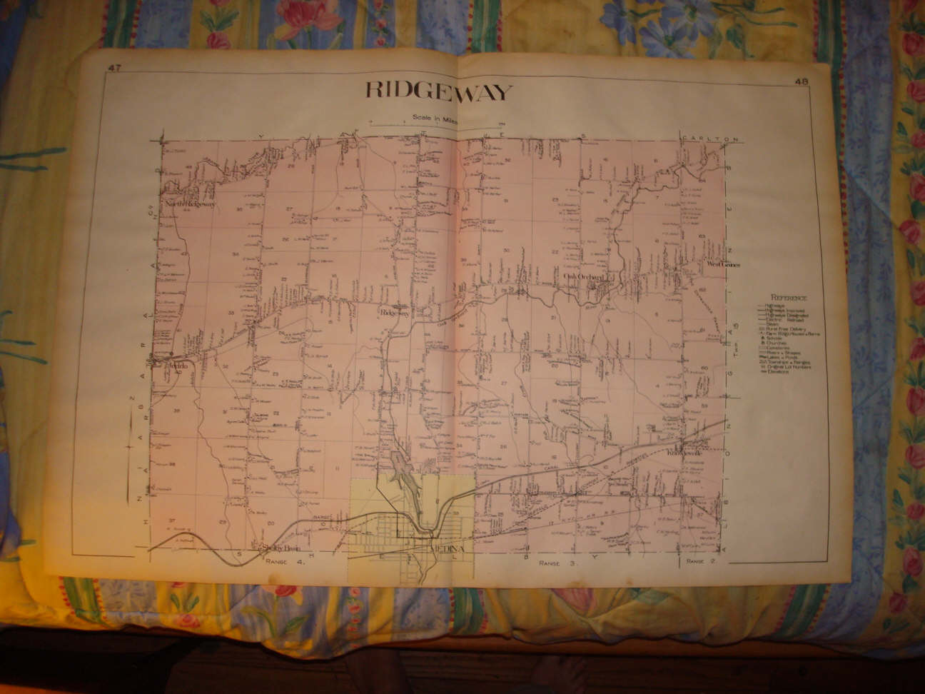 Ridgeway Medina Jeddo Knowlesville New York Antique Map on PopScreen