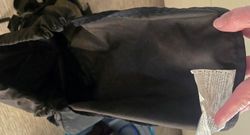 Image Hosting by Vendio