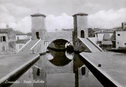 Image Hosting by Vendio