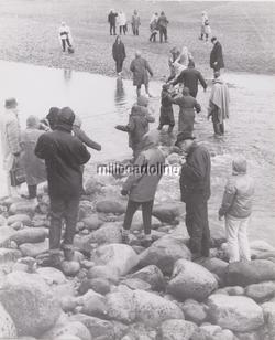 Image Hosting by Vendio