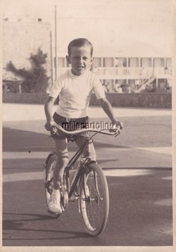 Image Hosting by Vendio