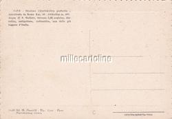 Image Hosting by Vendio