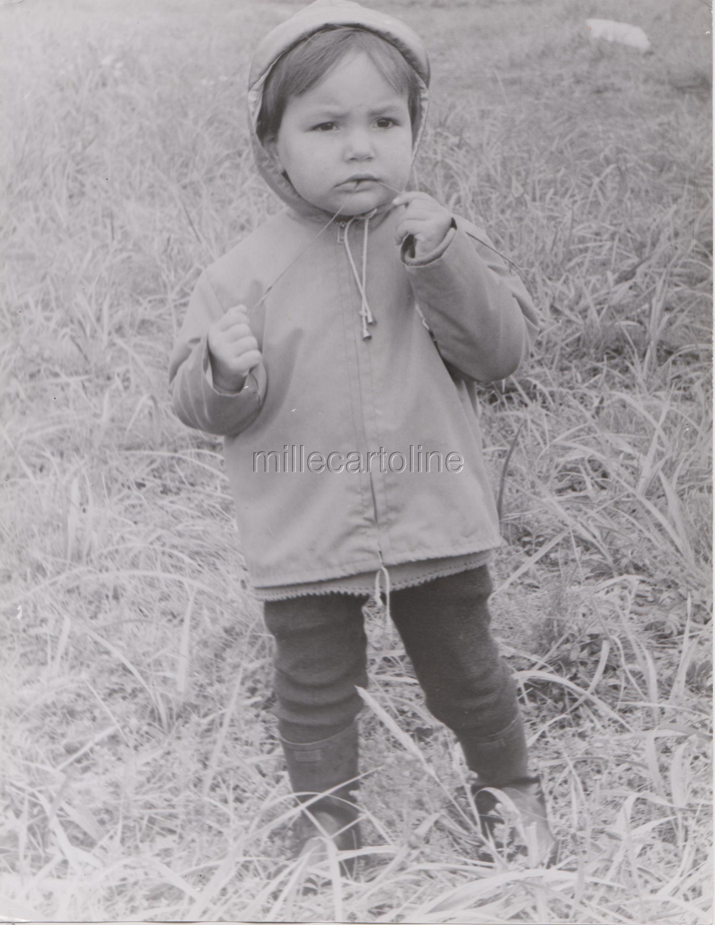 Image Hosting by Vendio