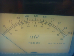 Image Hosting by Vendio