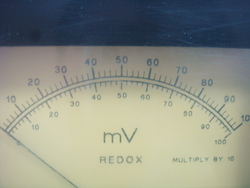 Image Hosting by Vendio