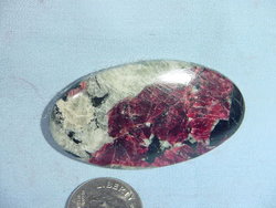 Image Hosting by Vendio