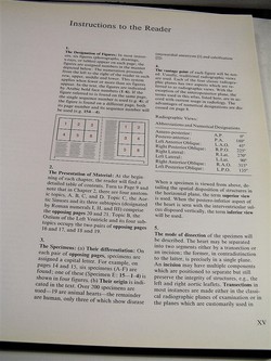 Image Hosting by Vendio