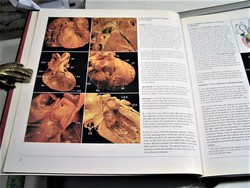 Image Hosting by Vendio