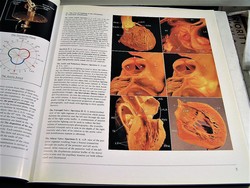 Image Hosting by Vendio