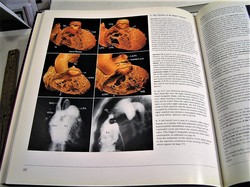 Image Hosting by Vendio