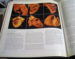 Image Hosting by Vendio