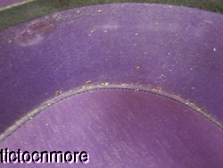 Image Hosting by Vendio