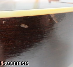 Image Hosting by Vendio