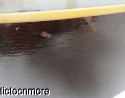 Image Hosting by Vendio