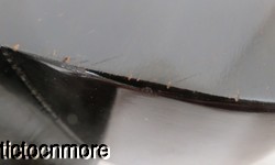 Image Hosting by Vendio