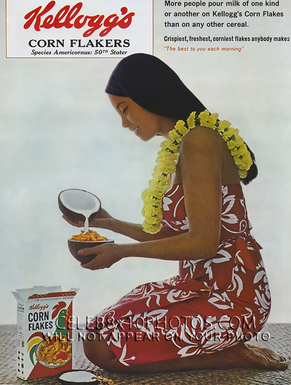 1960s MAG ADVERT KELLOGGS CORNFLAKES (1) RARE 8x10 PHOTO