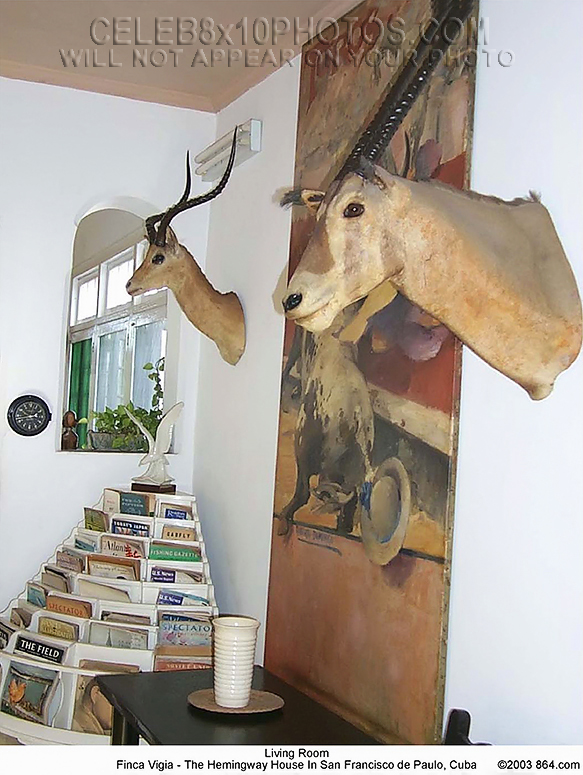 ERNEST HEMINGWAY HIS HOME IN KEY WEST (4) RARE 8x10 PHOTOS 