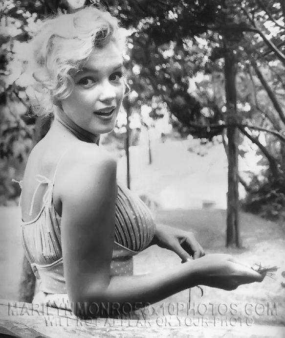 MARILYN MONROE BEAUTY in NATURE (1) RARE 8x10 PHOTO