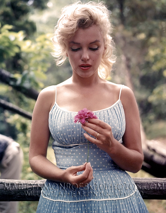 MARILYN MONROE 1960 inCENTRALPARK NY (3) RARE 8x10 PHOTOS