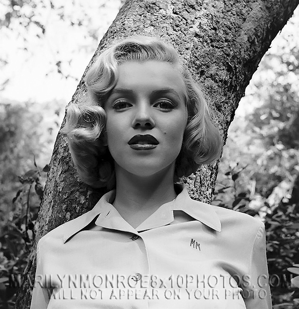 MARILYN MONROE 1950 at24 IN THE WOODS (3) RARE 8x10 PHOTOS