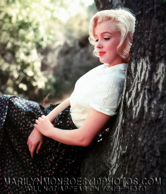 MARILYN MONROE AGAINST aROCK n aTREE (4) RARE 8x10 PHOTOS