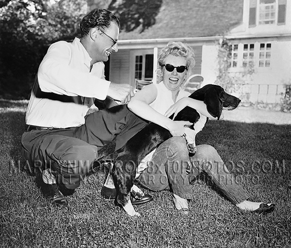 MARILYN MONROE AT HOME with  DOG (1) RARE 8x10 PHOTO