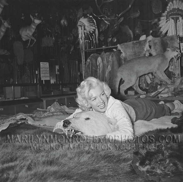 MARILYN MONROE BEAR HUG (2) RARE 8x10 PHOTOS