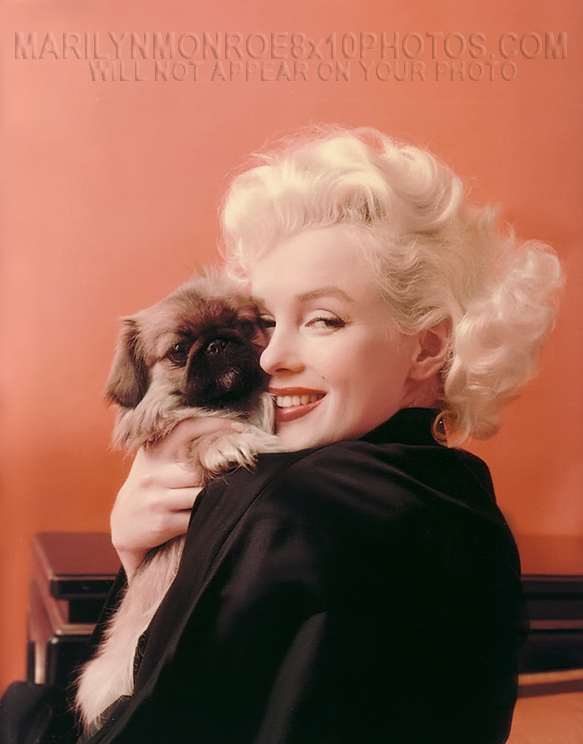 MARILYN MONROE BEAUTY and HER PUPPY (2) RARE 8x10 PHOTOS 