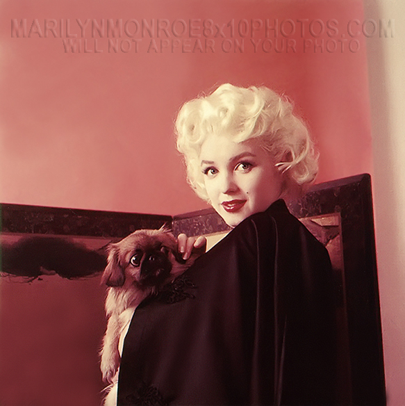 MARILYN MONROE BEAUTY and HER PUPPY (2) RARE 8x10 PHOTOS