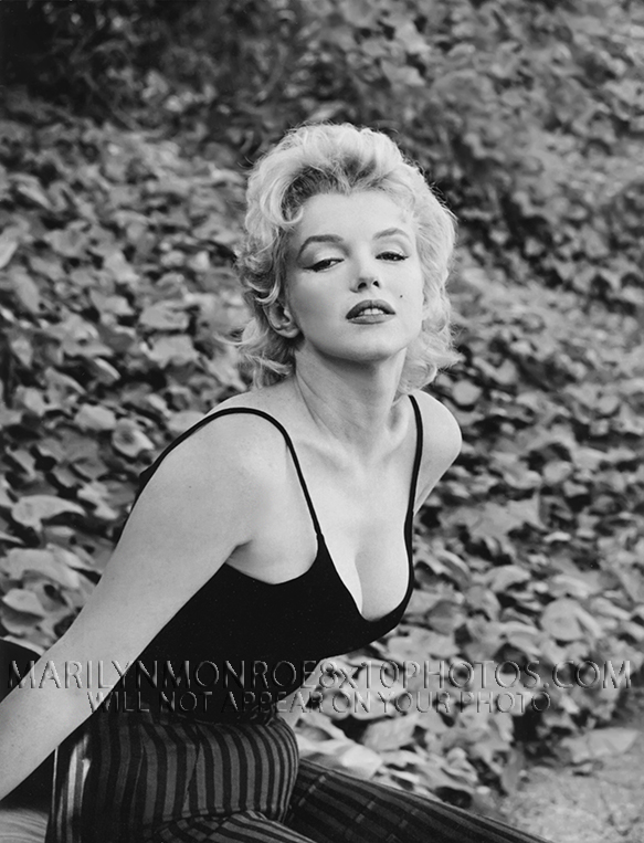 MARILYN MONROE BEAUTY and LEAVES (1) RARE 8x10 PHOTO