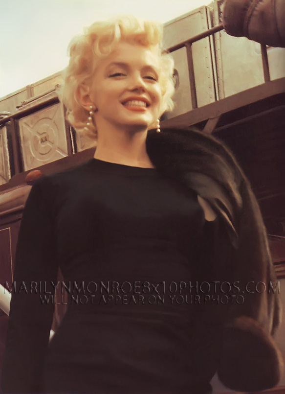 MARILYN MONROE BEAUTY IN BROWN (1) RARE 8x10 PHOTO