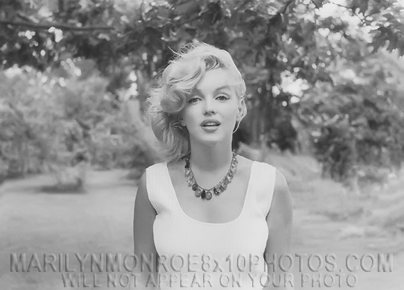 MARILYN MONROE BEAUTY in NATURE (3) RARE 8x10 PHOTOS 