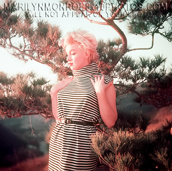 MARILYN MONROE BEAUTY inSTRIPEDRESS (3) RARE 8x10 PHOTOS 