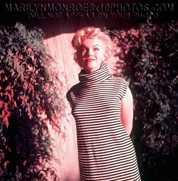 MARILYN MONROE BEAUTY inSTRIPEDRESS (3) RARE 8x10 PHOTOS