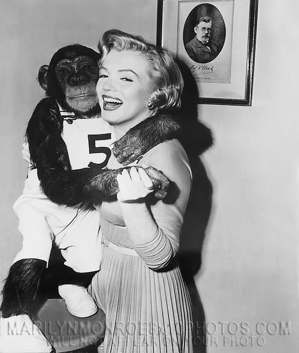 MARILYN MONROE BEAUTY with A MONKEY (1) RARE 8x10 PHOTO